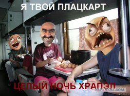 Типичные попутчики