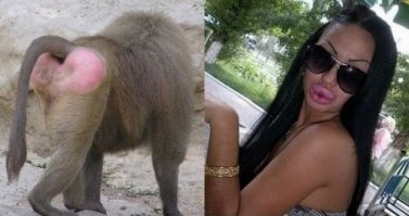 Красота-это страшная сила..Ф.Раневская.