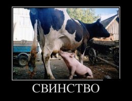 А бывает и такое!