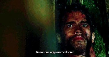 Знакомство с антарктической полихетой