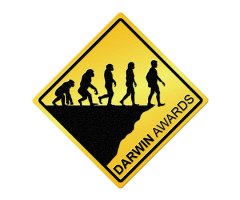 Понты до добра не доводят! 