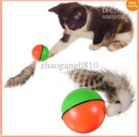 Знакомство с антарктической полихетой