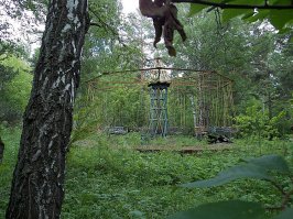 Новосибирская область