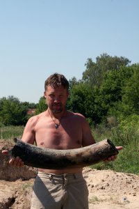 Шестистый мамонт.Примерно 44 000 тому назад. Кусок бивня кило на 15.
Юдиново.
Со дна р. Судость.