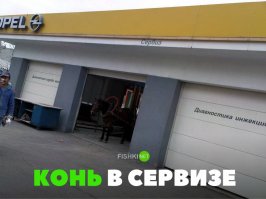 Сервиз, <span style='color:gray'>[мат]</span>