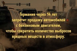 Так вот оно что! Вот для чего мигранты в таком количестве! Переход на экологически чистый транспорт.