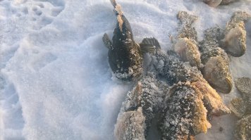 Непередаваемая красота и романтика зимней рыбалки