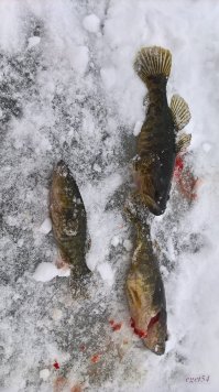 Непередаваемая красота и романтика зимней рыбалки
