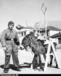 Ослов ещё немцы использовали .