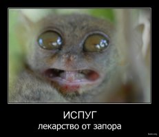 Знакомство с антарктической полихетой