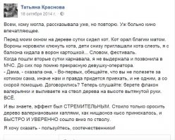 Спасаем кошку