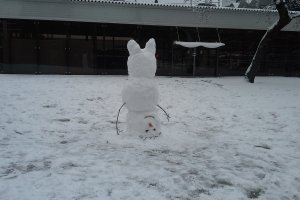 Это тоже в Сочи. Прямо на выходе из жд вокзала. Походу работники развлекались.