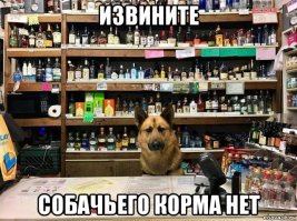 Картинки которые подымут Вам настроение