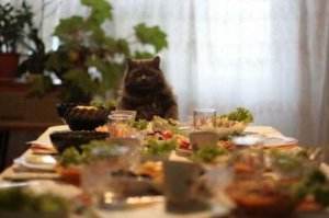 Картинки, юмор, приколы