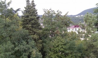 Похожее было в начале февраля 12 года. На первой фотографии вид из окна 1 февраля 2012 года. На второй фотографии вид из этого же окна в сентябре:)