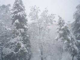 Похожее было в начале февраля 12 года. На первой фотографии вид из окна 1 февраля 2012 года. На второй фотографии вид из этого же окна в сентябре:)