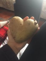 Картинки которые подымут Вам настроение