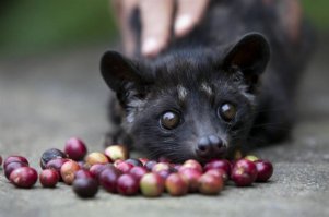 Да ладно, вылитый я!