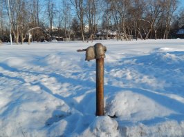 В Москве тоже присутствуют в некоторых местах еще, в Бутово, например