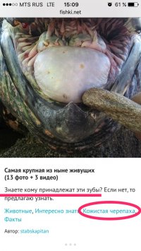 Даже не догадываюсь