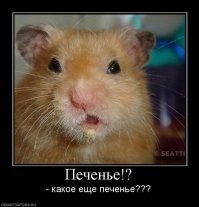  Волшебные формочки для печенья «harry Potter»