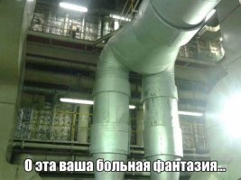  Подборка прикольных фото