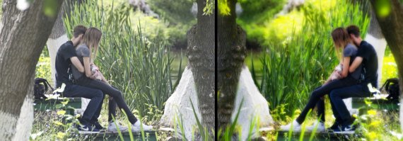 внесу свою лепту