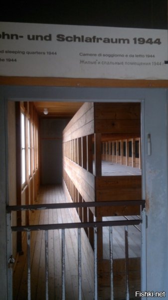 ну так, ничего особенного. Фотки со жмурами были нормой.
Фотки убийц- насмотрелись уже.

в 90-ые пострашнее передачи были по ТВ.

А вот ездил я как то в Дахау... вот это было стремно. В живую, видя масштабы, просто пугает и поражает.
Я даже месяц потом не шутил шутки про евреев.