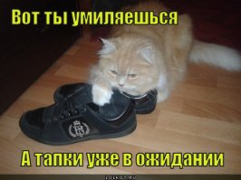 Повезло тем ... римлянам. Тапки не носили