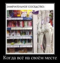 Подборка демотиваторов, которые поднимут вам настроение