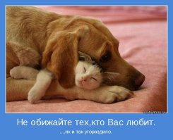 20  СМС  о прелестях отношений