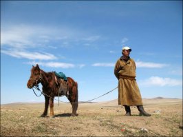 "Но самым дорогим в снаряжении воина был боевой конь"
---
Только это был не современный французский или бельгийский тяжеловоз, как принято изображать на картинках, а лошадка чуть больше пони, (как это понимается по советским/российским стандартам, поскольку по западным пони - это лошадь ростом до 149 см в холке - арабская чистокровная попадает в эту категорию), особенно, учитывая, что и люди были далеко не метр восемьдесят
Вот что-то в этом роде или немного крупнее :