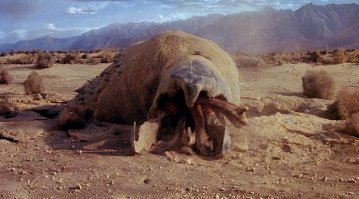 Самая крупная из ныне живущих