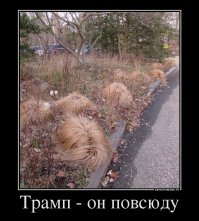 Точно, точно, он всюду.