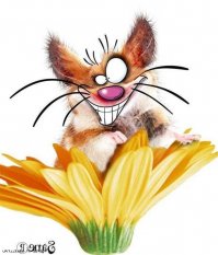 Прикольные картинки. 