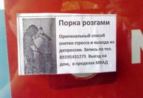 Одни из самых необычных профессий