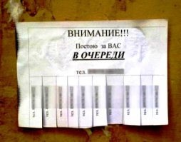 Одни из самых необычных профессий