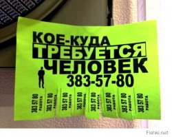 Одни из самых необычных профессий