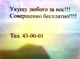 Одни из самых необычных профессий