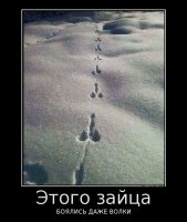 Подборка демотиваторов, которые поднимут вам настроение