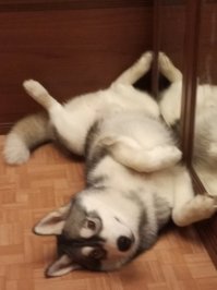 Наше Чудовище :)