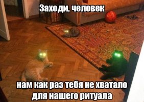  Подборка прикольных фото