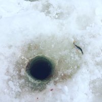 А это мой улов на прошлых выходных)))))