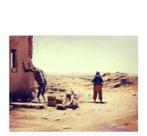  Конь Всадника без головы