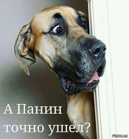 Ужасы соцсетей, вот куда катится наш мир