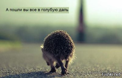 Ёжик обиделся...