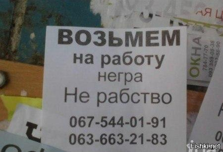 Из солянки от 02.02.2017