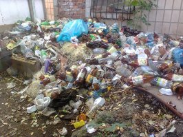  Что мы оставим нашим потомкам после себя?