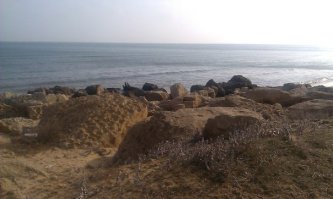 Довелось мне в молодые годы побывать на берегу Каспия.
 Дело было весной, солнце жарило, но море было еще холодным. Скакал я в одних труселях по камням и уже в прыжке увидел, что приземляюсь на камень с огромной гюрзой!!!
В полете я что-то жалобно кричал и совершал какие-то телодвижения, но приземлился прямиком на змеюку. 
Оказалось. что это была не сама змея, а только ее шкура, но страху я натерпелся...
А вот и те места