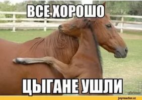 Гюльчатай, открой личико: троллинг уличных цыгынок в Пензе